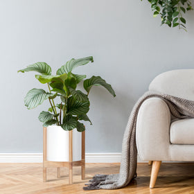 D'vine Dev planter with faux or real plants is easy to move.