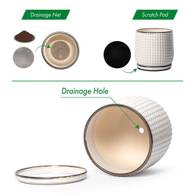 D'vine Dev pot with drip tray ready for windowsill use