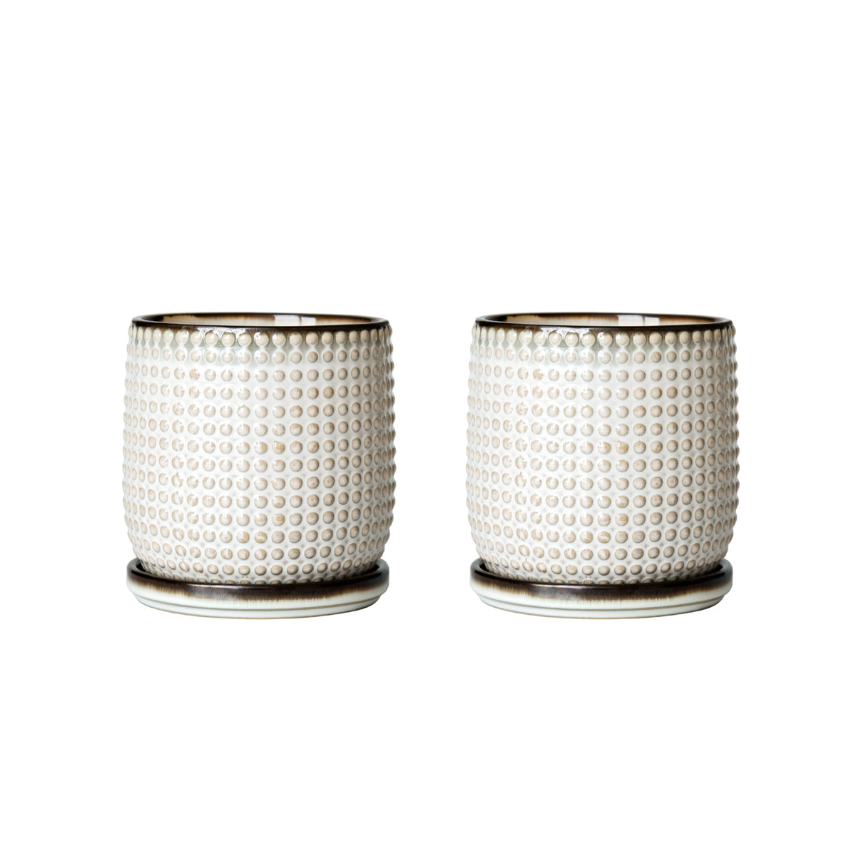D'vine Dev set includes saucers for clean, protected surfaces