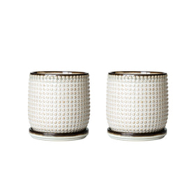 D'vine Dev set includes saucers for clean, protected surfaces