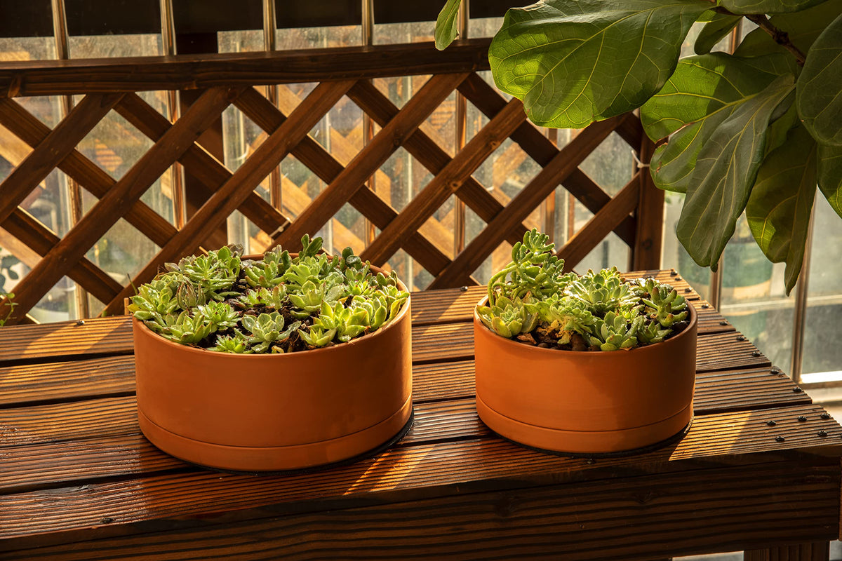 D'vine Dev protective pad preserves tabletop while water drains away.