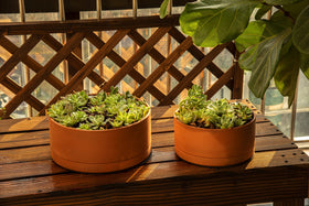 D'vine Dev protective pad preserves tabletop while water drains away.