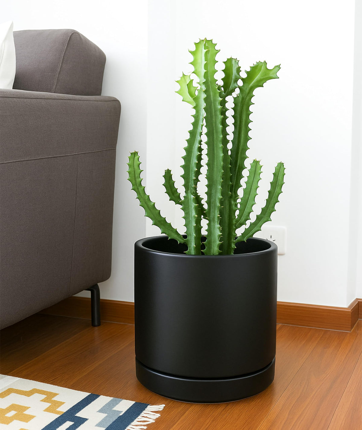 D'vine Dev 10-inch ceramic planter adds modern style to indoor spaces.