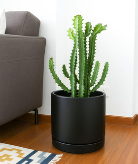 D'vine Dev 10-inch ceramic planter adds modern style to indoor spaces.