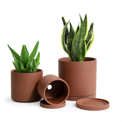 D'vine Dev rust terracotta pot 4.2-inch with smooth matte finish for small succulents.