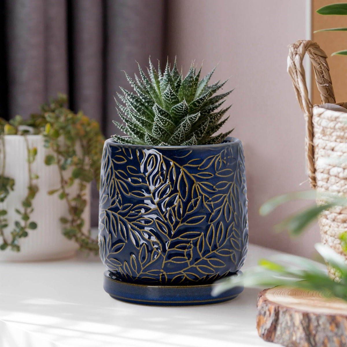 Dvine Dev include matching ceramic saucer for tidy plant setup.