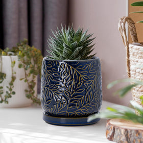 Dvine Dev include matching ceramic saucer for tidy plant setup.