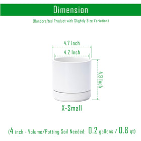 D'vine Dev set4 saucer detail highlights snug ceramic saucers for steady placement.