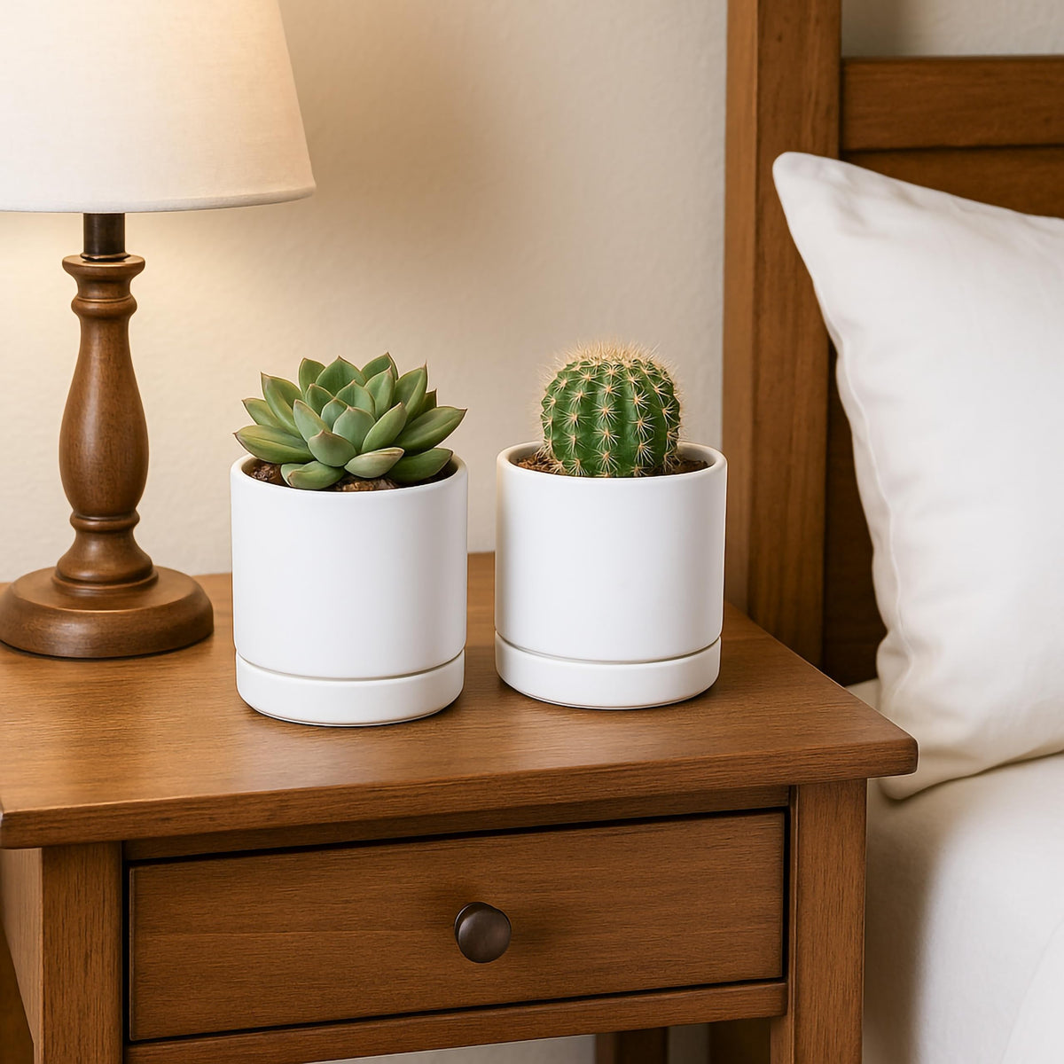 D'vine Dev set4 tabletop pads offer scratch-free mini planter setup.