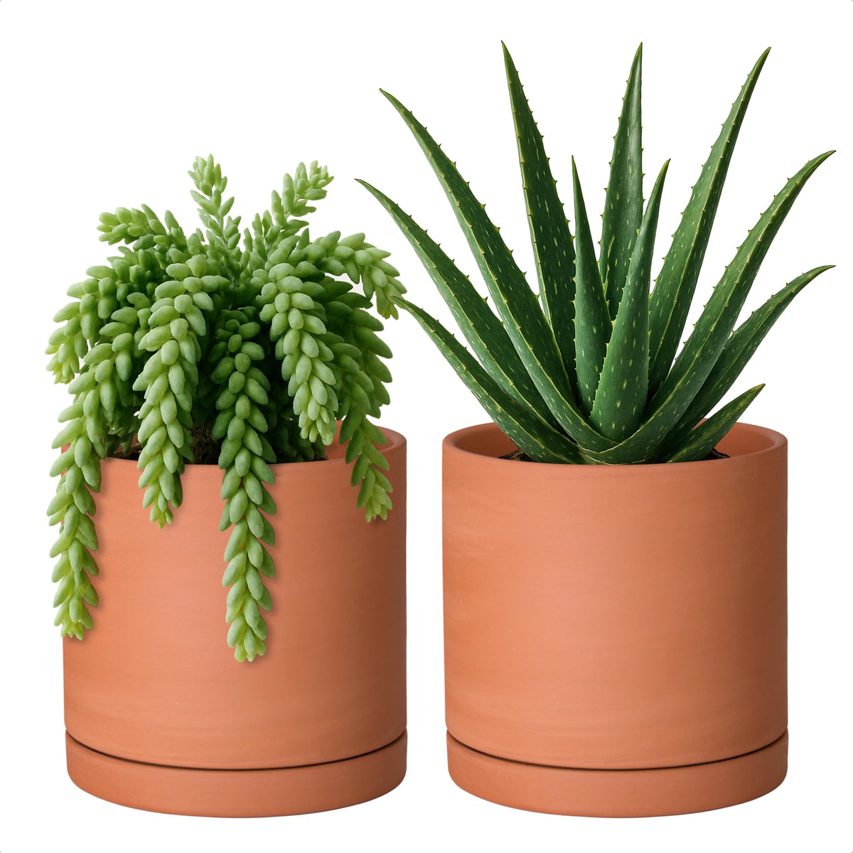 D'vine Dev small terracotta pot with drainage hole for indoor plants