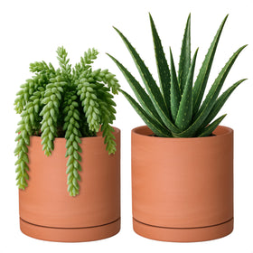 D'vine Dev small terracotta pot with drainage hole for indoor plants