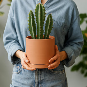 Set of 2 terracotta pots for paired plants and decor