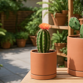 D'vine Dev pot with saucer protects surfaces during watering.