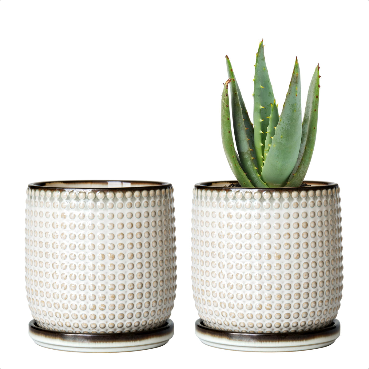 D'vine Dev smoked white beaded ceramic pot with drainage hole for small plants