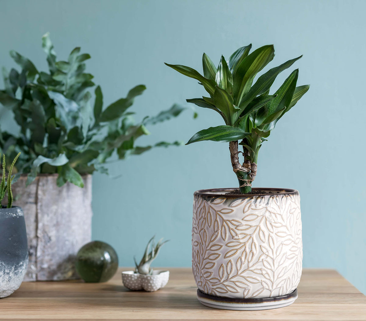 Dvine Dev smoked white finish offers a versatile, modern look for any decor