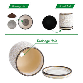 Dvine Dev stoneware texture highlights durable, everyday use for indoor plants
