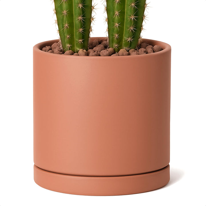 Dvine Dev terracotta pot with 10in outer diameter for a spacious indoor feel.