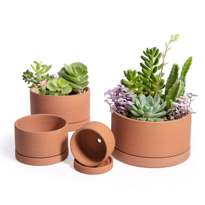 D'vine Dev terracotta shallow planter 3-inch for compact succulents on a desk