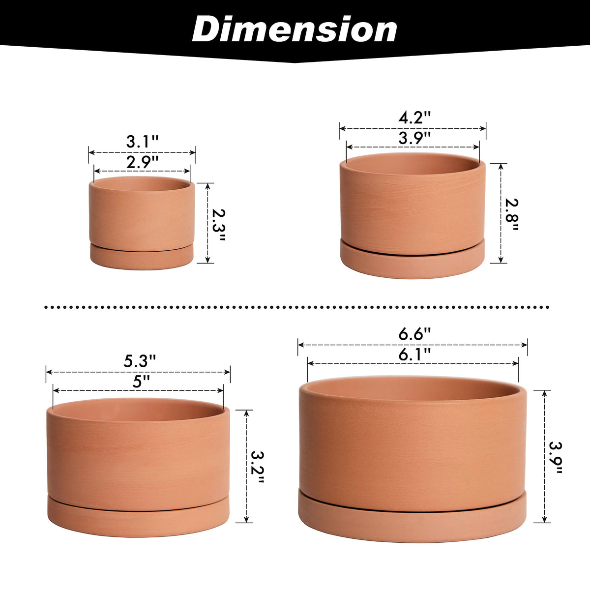 D'vine Dev terracotta shallow planter 6-inch supports larger succulents with a stylish frame