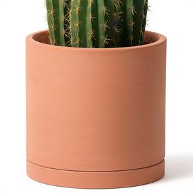 D'vine Dev 12-inch terracotta pot, side view, natural matte finish.