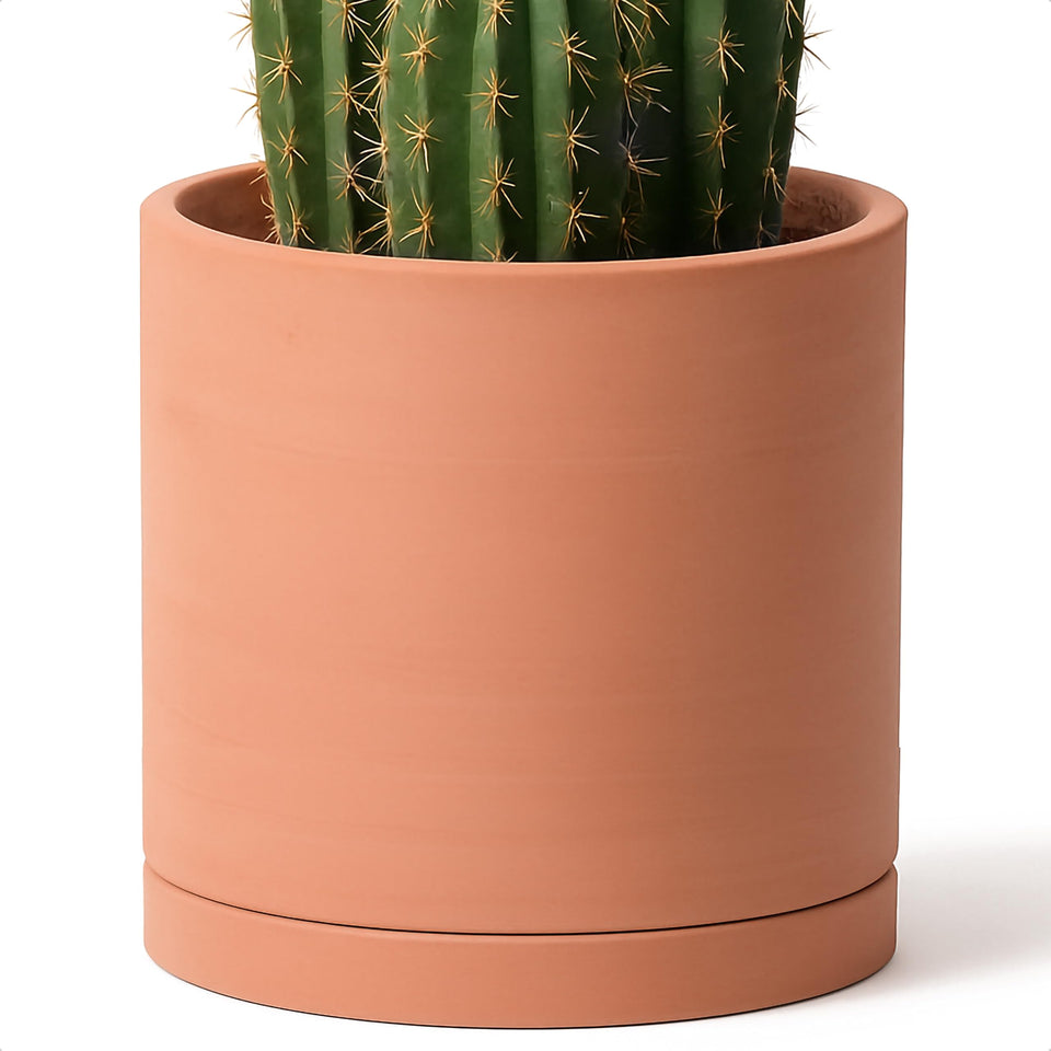 D'vine Dev 12-inch terracotta pot, side view, natural matte finish.