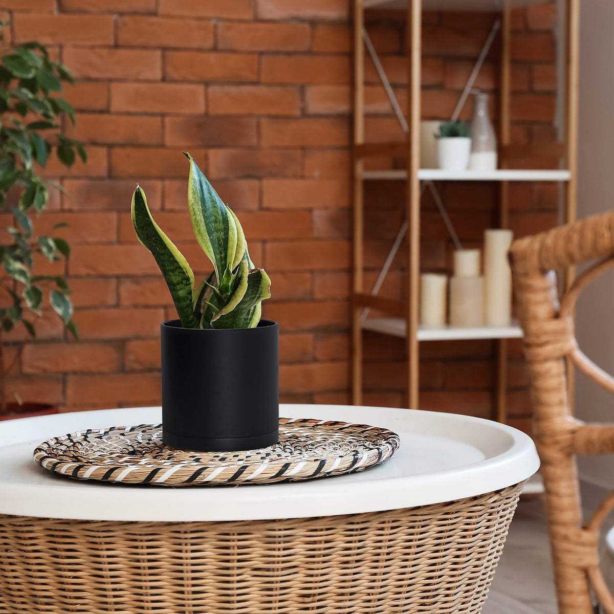 D'vine Dev thick-walled plastic pot with drainage hole promotes healthy drainage