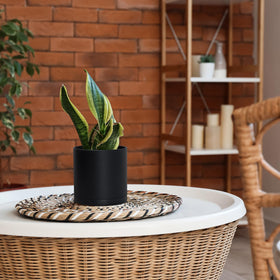D'vine Dev thick-walled plastic pot with drainage hole promotes healthy drainage