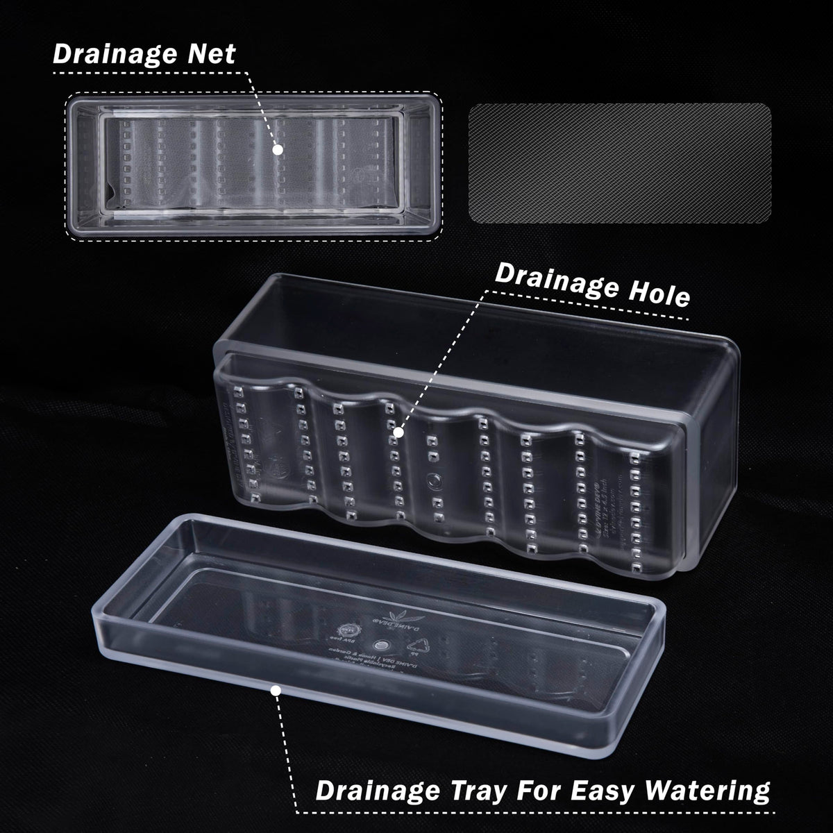 D'vine Dev transparent acrylic design showcases plant health and root view