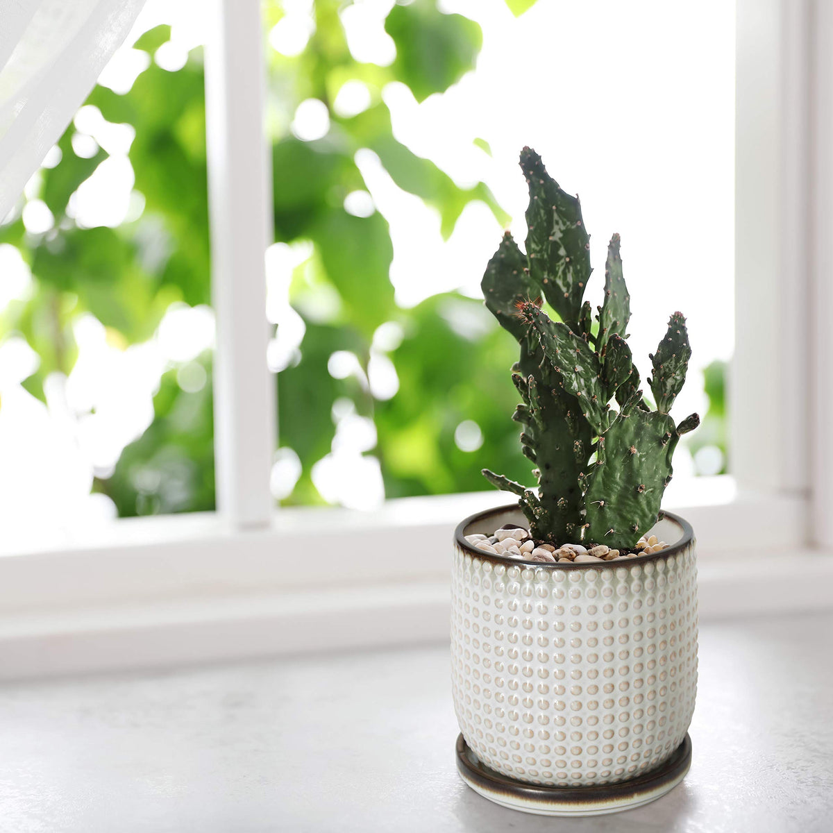 D'vine Dev two-pot set ideal for desk plants or succulents