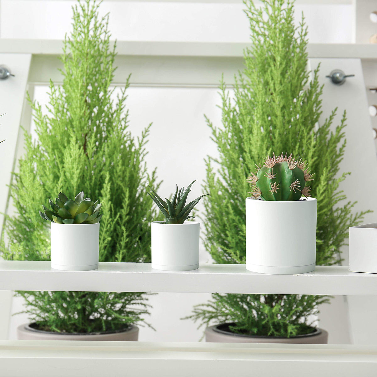 D'vine Dev white planter set on display highlights modern minimalist design.
