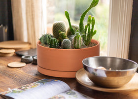 D'vine Dev modern planter on window sill complements décor and plant growth.