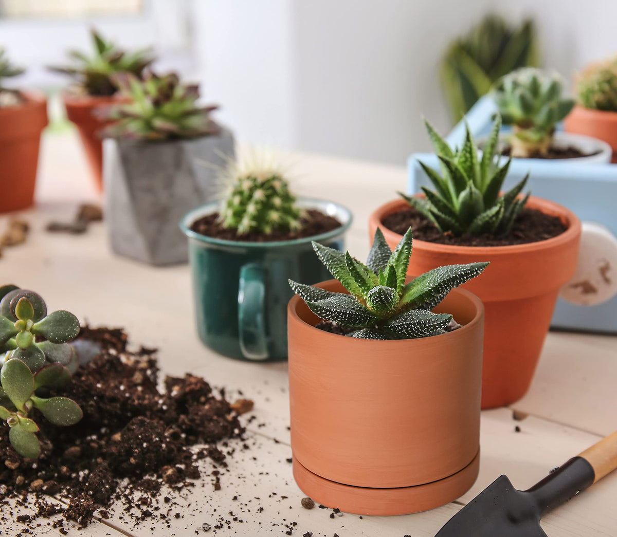 D'vine Dev pot with saucer included helps protect surfaces and reduce mess.