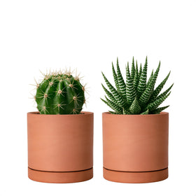 D'vine Dev X-Small terracotta pot with a round minimalist silhouette for indoor plants