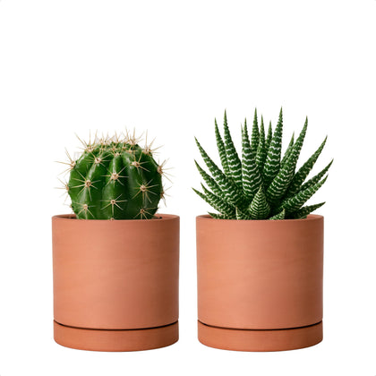 D'vine Dev X-Small terracotta pot with a round minimalist silhouette for indoor plants