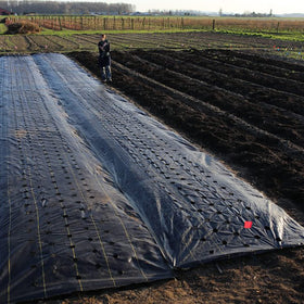 DWALE geotextile for French drains and garden beds improves drainage.