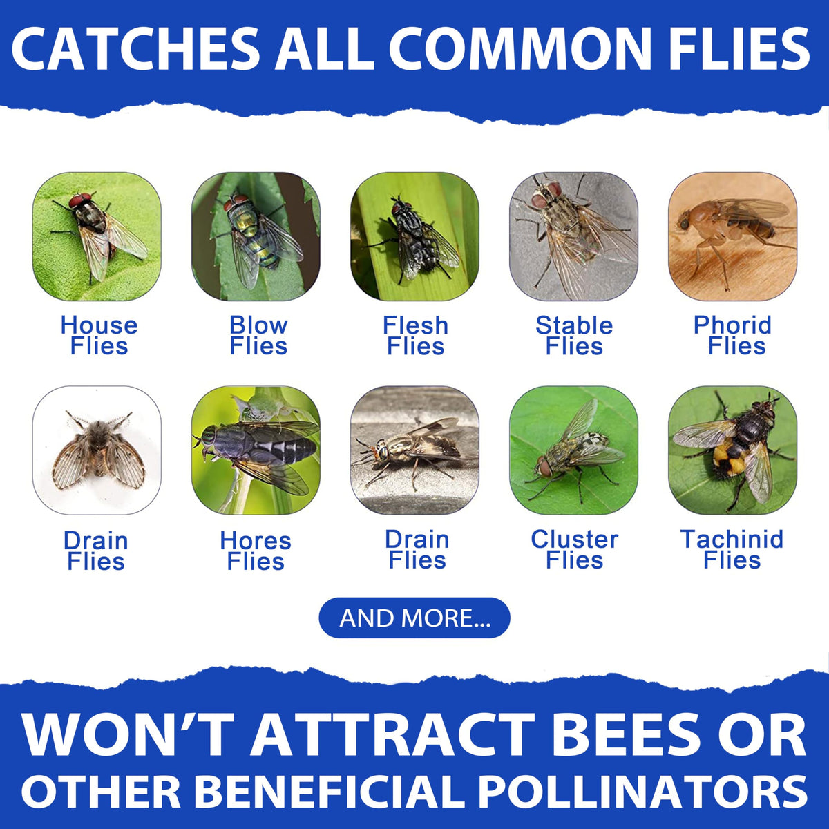 Effective against common flies around homes and yards