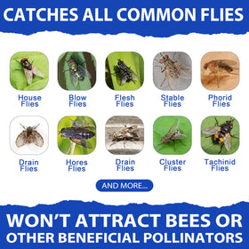 Effective against common flies around homes and yards