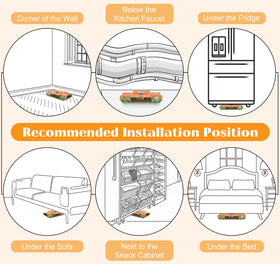 Dwcom Trap family-safe indoor solution for homes with kids and pets.