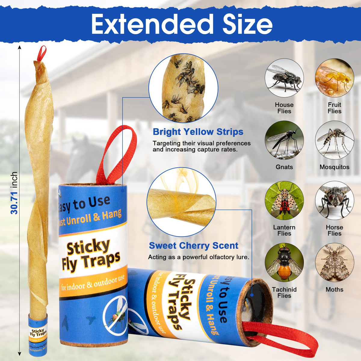 Dwcom Trap hanging pin shown for quick, secure indoor installation.