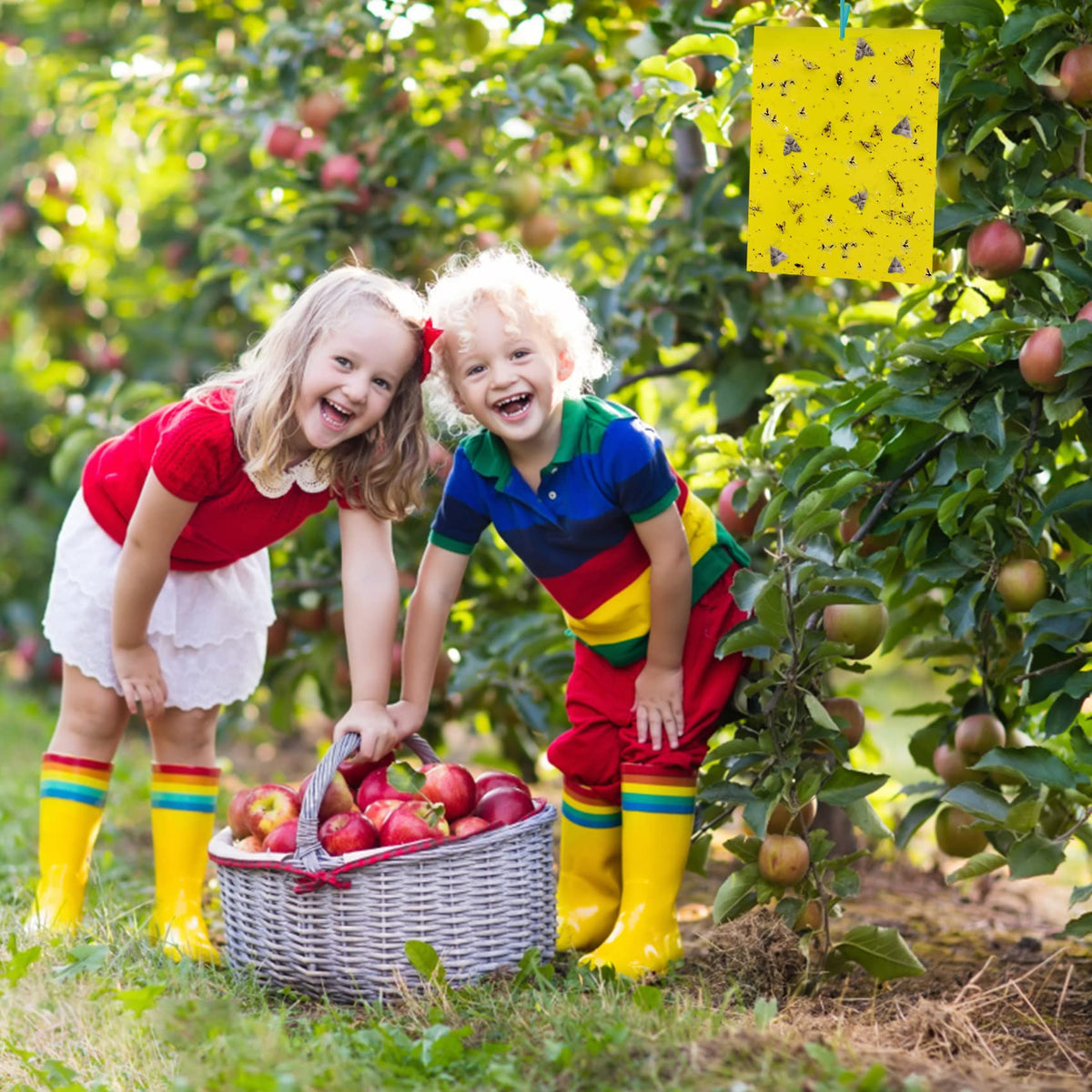 Safe, non-toxic solution ideal for households with kids and pets.