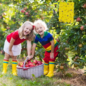 Safe, non-toxic solution ideal for households with kids and pets.