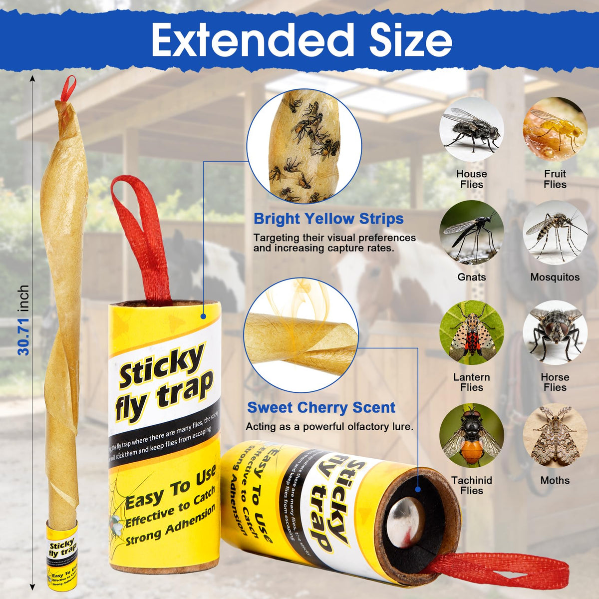 Dwcom Trap sticky fly strips with high tack attracting flies quickly