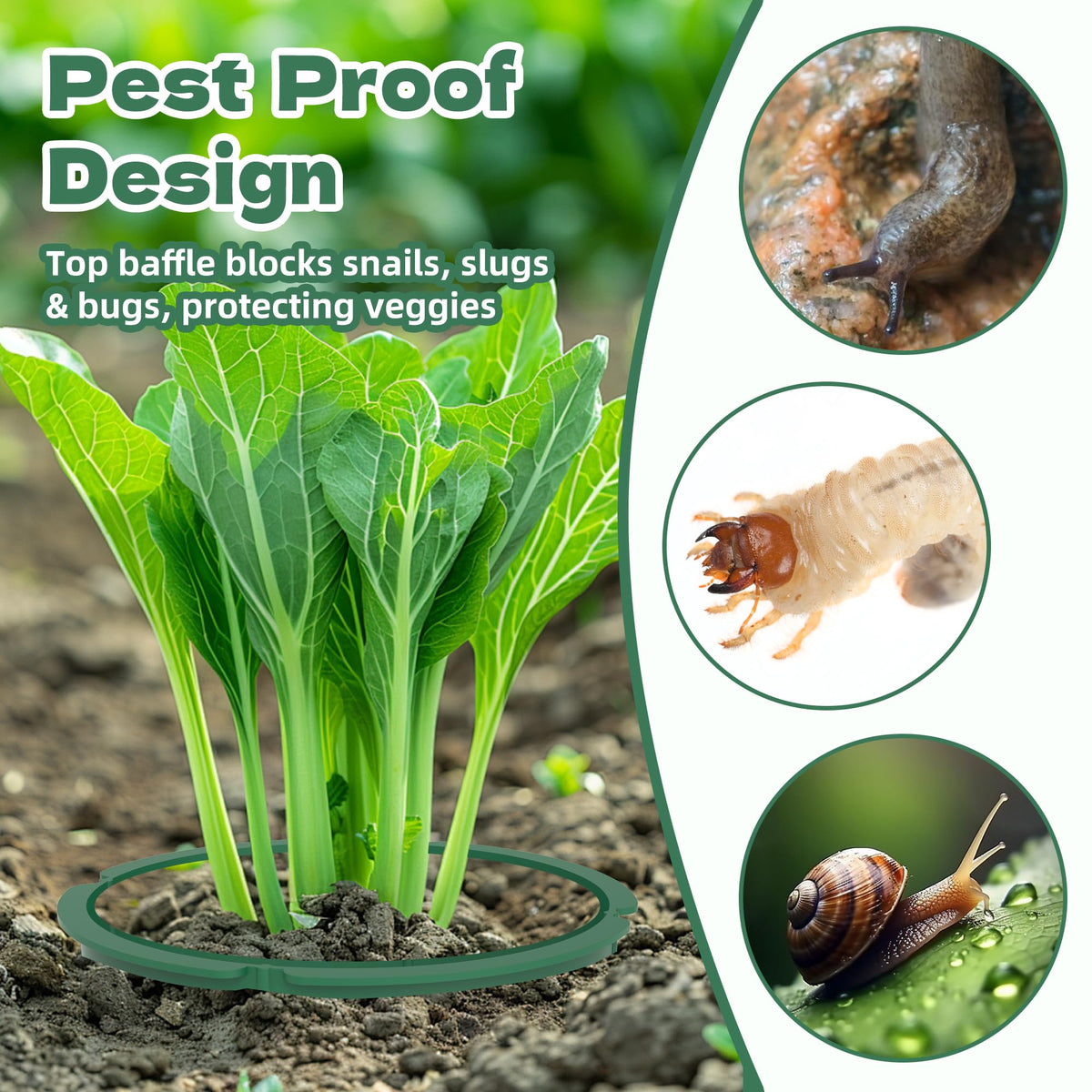 DwelSpire plant grow ring protects plant bases and guides water to roots