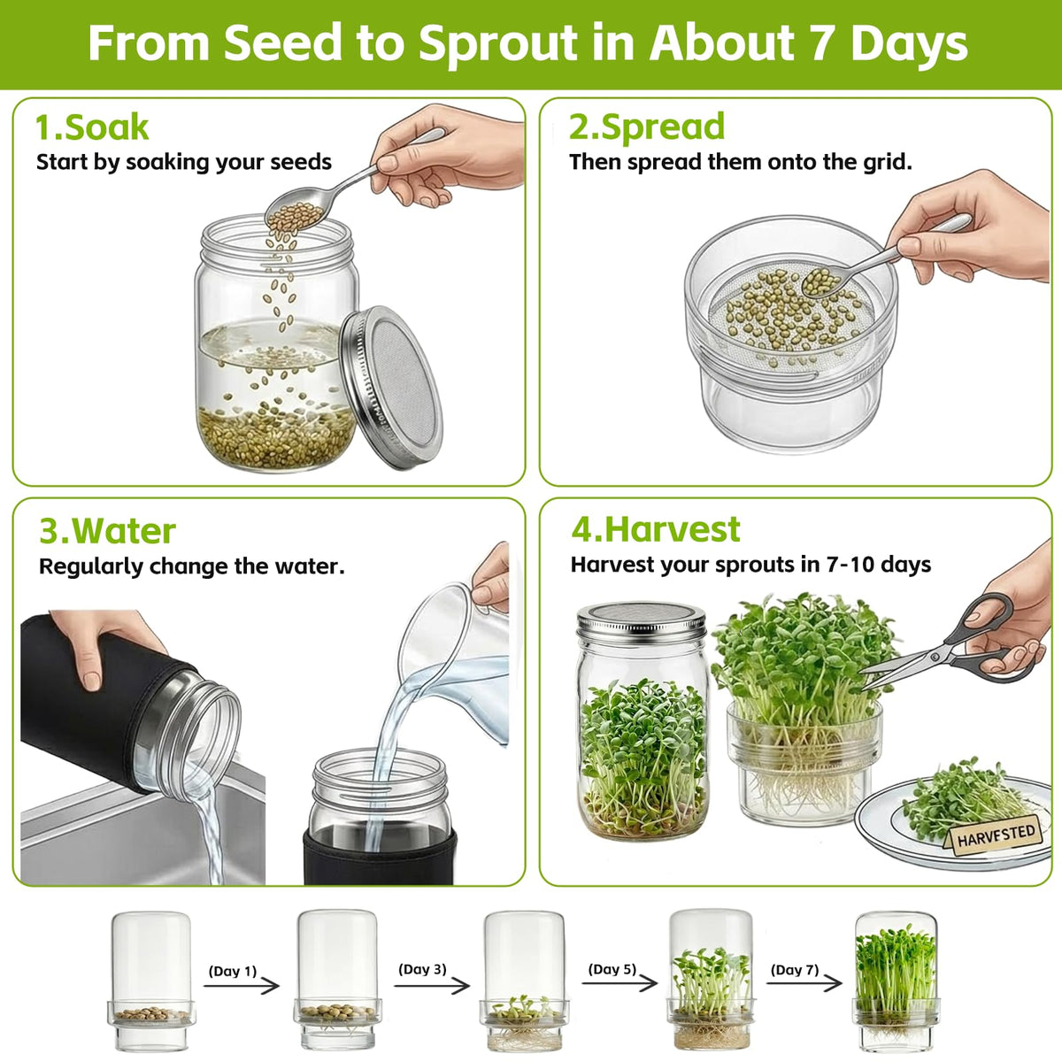 DWETG alfalfa and mung bean sprouts for quick, fresh meals.