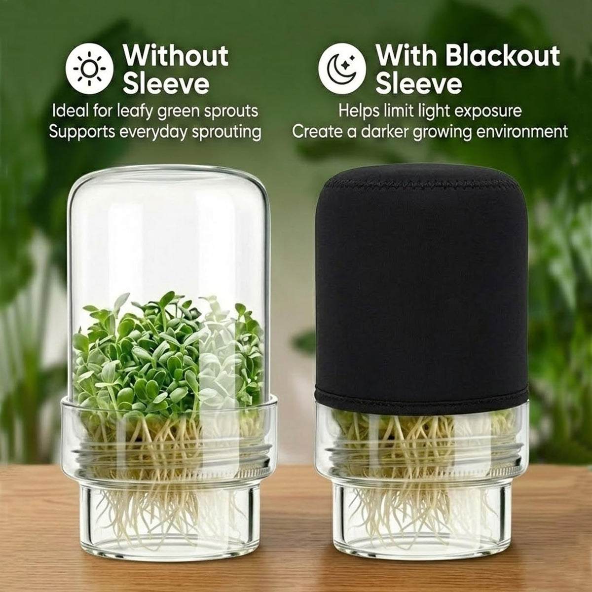 DWETG broccoli sprouts harvest to top salads with crunch.