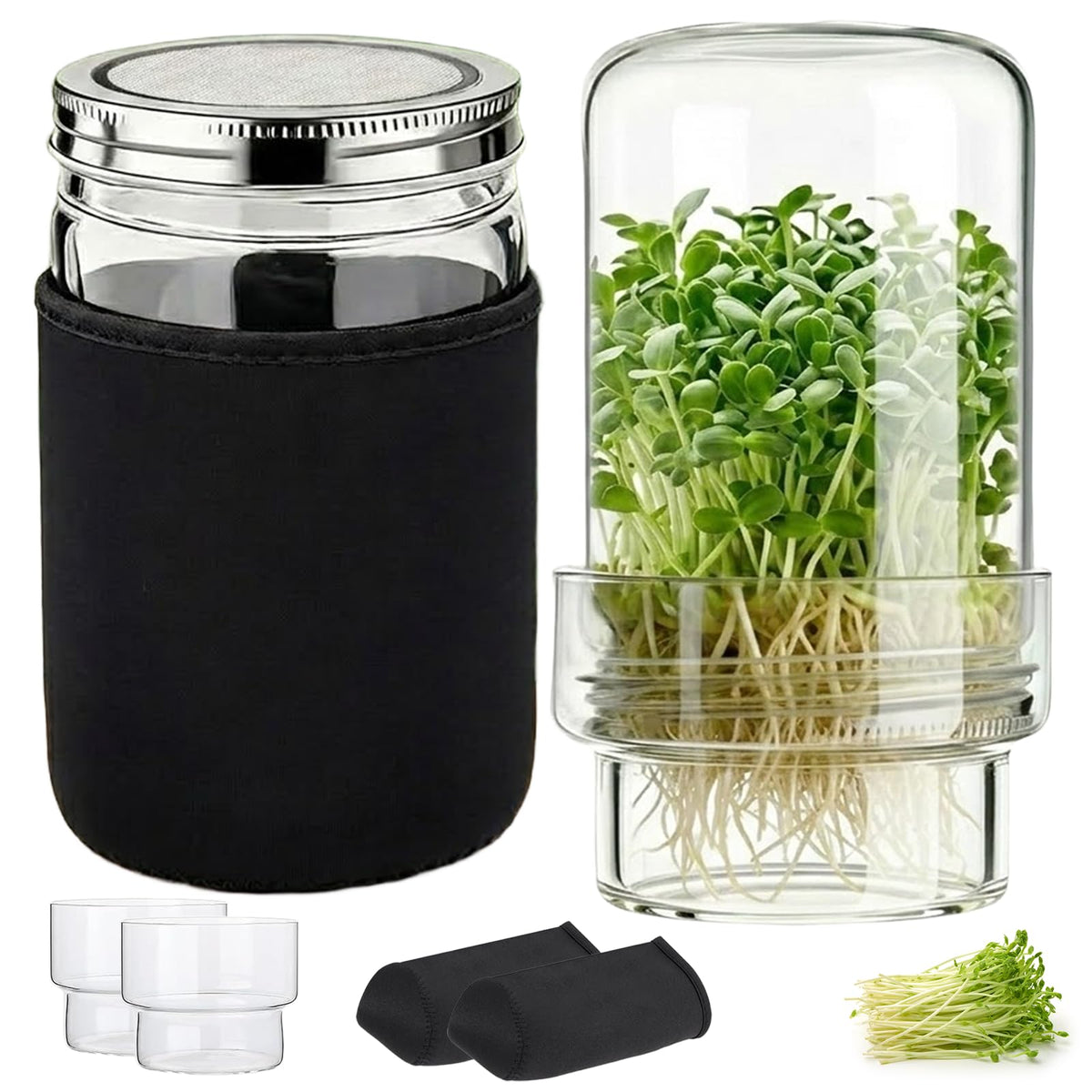 DWETG seed sprouting kit with two wide-mouth jars for easy home sprouts.