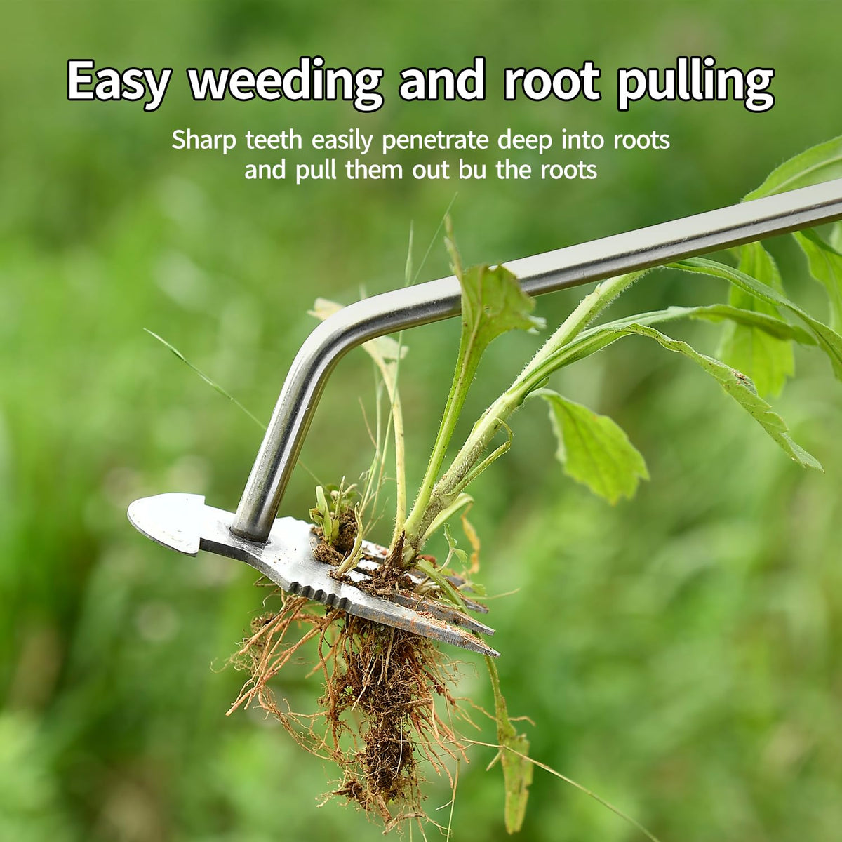 DWULCX 4-teeth design accelerates removal of dandelions, thistles, and burdock.