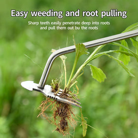DWULCX 4-teeth design accelerates removal of dandelions, thistles, and burdock.