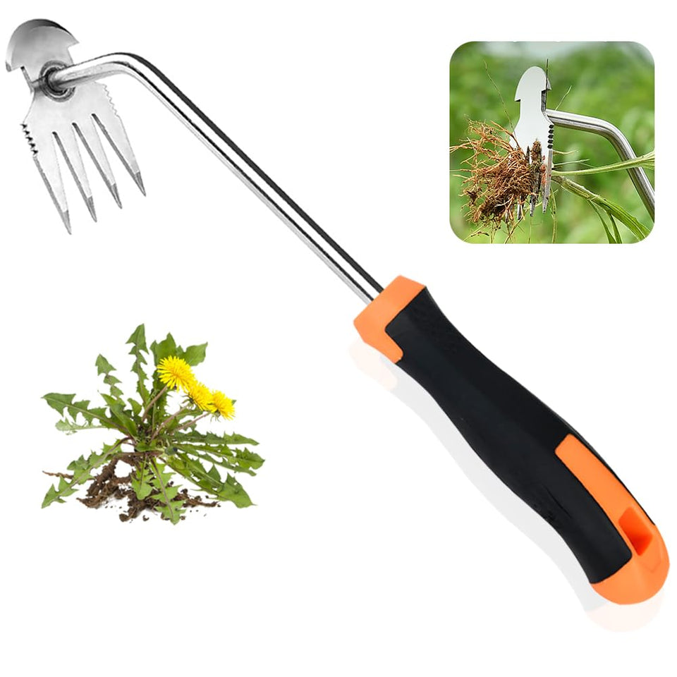 DWULCX Weed Puller Tool with four teeth for quick weed removal in gardens.
