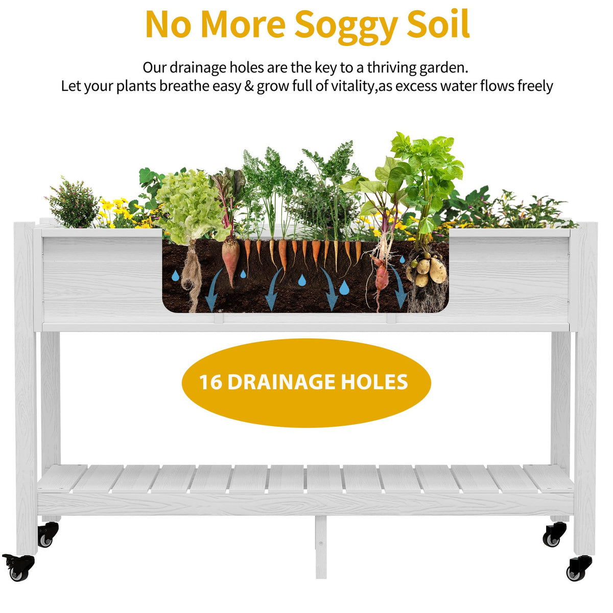DWVO drainage holes promote healthy root drainage and prevent waterlogging.